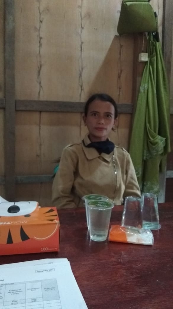 Demi Mendaftar sebagai PTPS, Lina Tempuh Perjalanan Antar Kabupaten